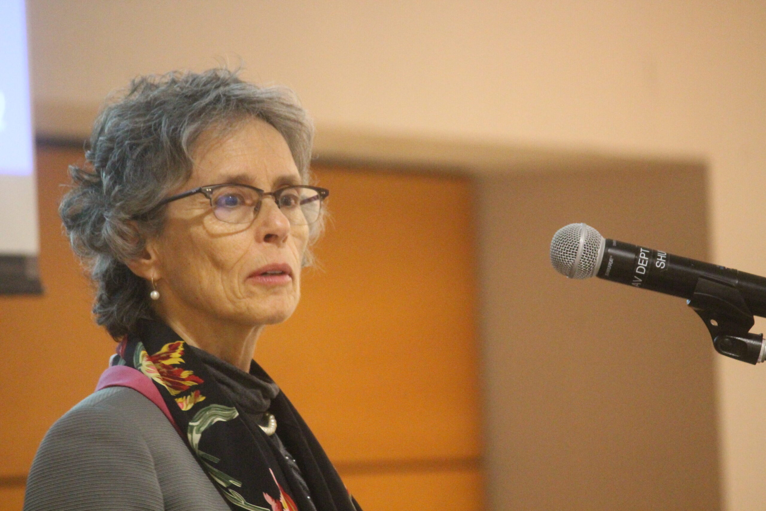 Dianne Saxe on Shared Economy