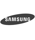 Large Retail Corporations, Samsung