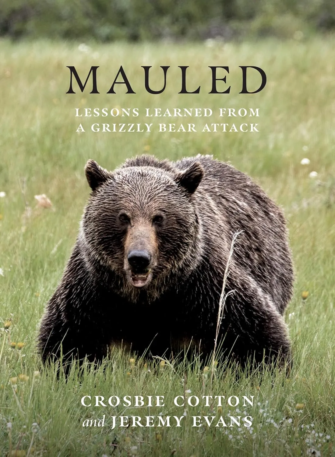 Mauled: Lessons Leaerned from a Grizzly Bear Attack